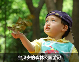 宝贝安的森林公园游记