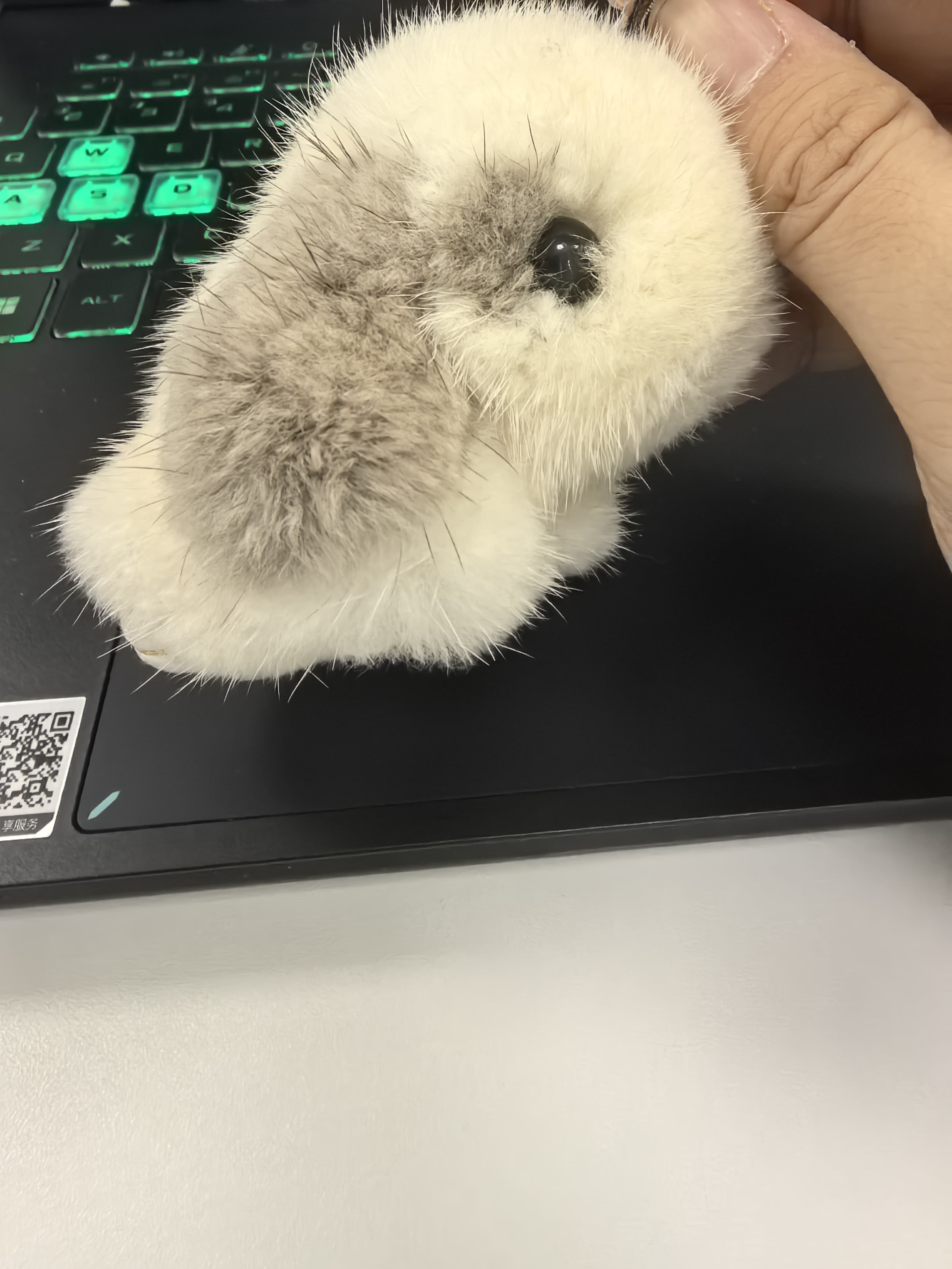 测试视频集合上传04.03